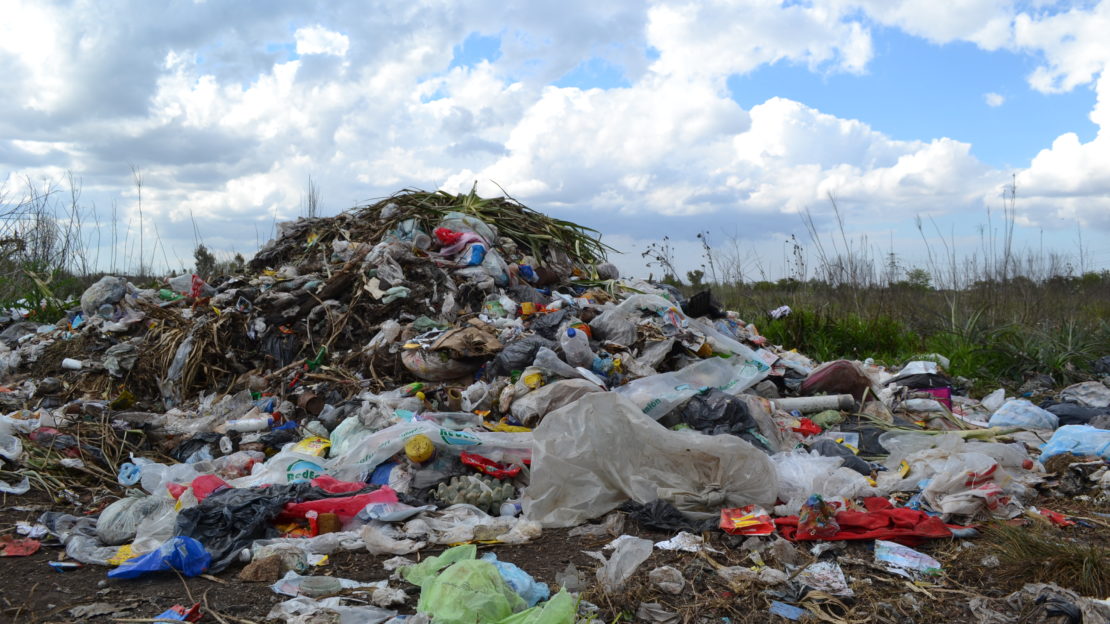 reserva natural laguna de rocha2