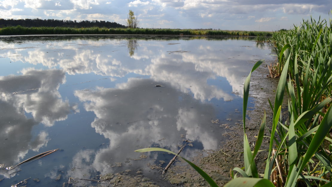 reserva natural laguna de rocha3
